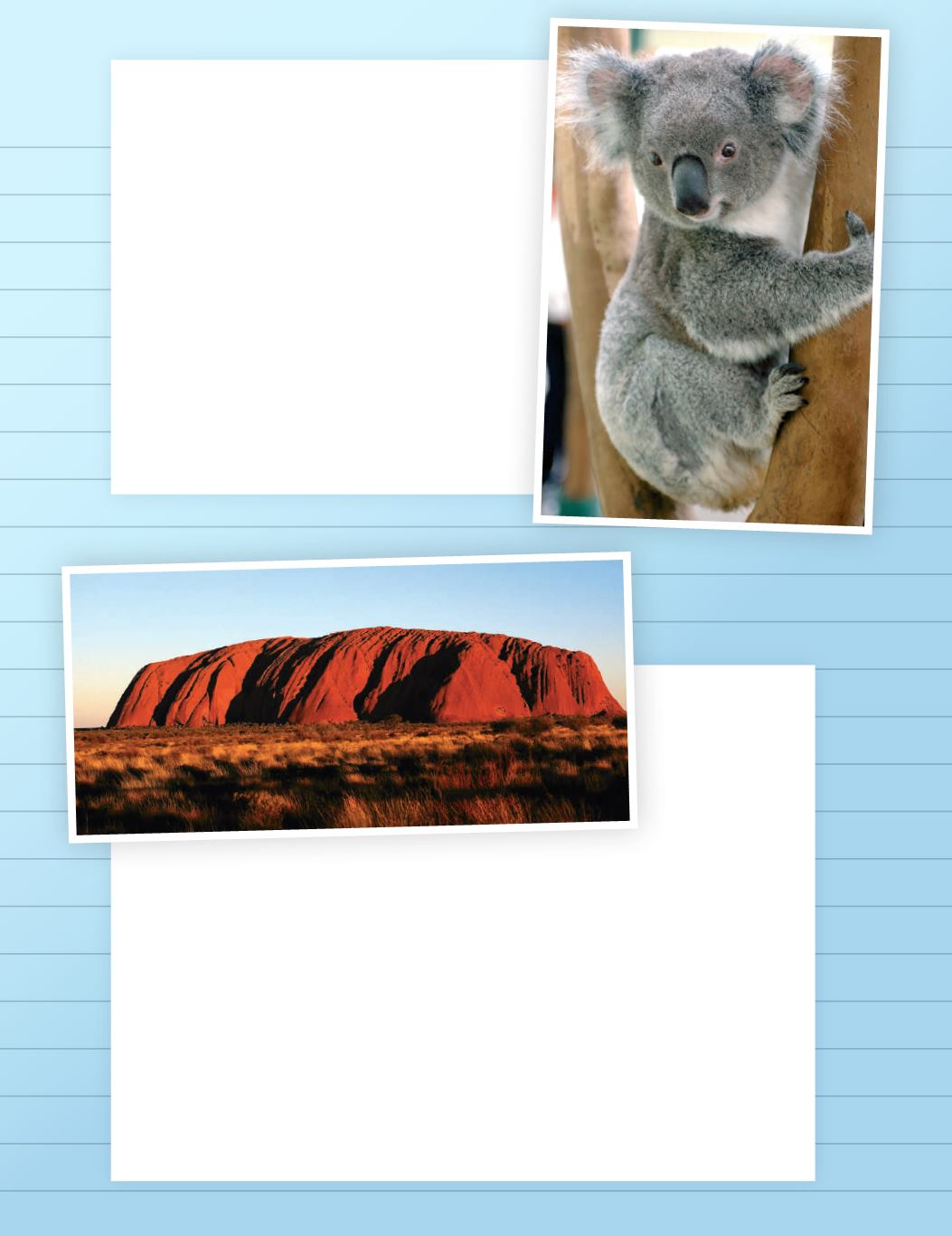 Page Background